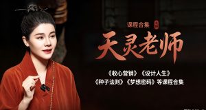 天灵老师《收心营销》《设计人生》《种子法则》《梦想密码》课程合集