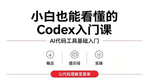 小白也能看懂的codex入门课程