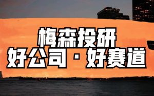 梅森投研基础课  共二十八节课，十八节必学基础课十节什么是好赛道好公司
