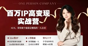 百万IP高变现实战营42天带你做个能稳定ZQ的一人公司