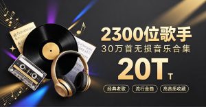 2300位歌手30万首+无损音乐合集共计20T