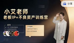 小艾聊法拍-老板IP+不良资产训练营100节视频课程