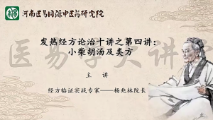 杨兆林发热经方论治十讲