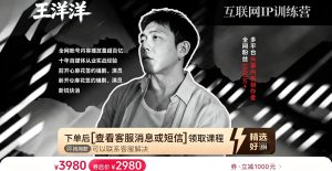 王洋洋·互联网IP训练营 短视频IP打造，内容创作运营