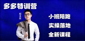 纪主任-多多特训营2026年新课开启！（8月更新）