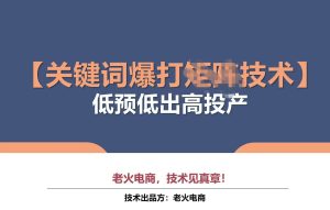 老火电商-淘宝关键词爆打矩阵技术