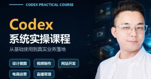 蔡老师codex系统实操课程 从基础使用到真实业务落地