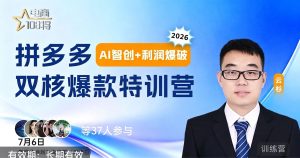 贾真云杉·拼多多“AI智创+利润爆破” 8号更新完结，双核爆款特训营，0~1，1~100可复制打爆款的全套落地SOP