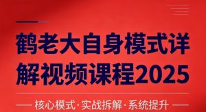 鹤老大自身模式详解交易模式视频课程
